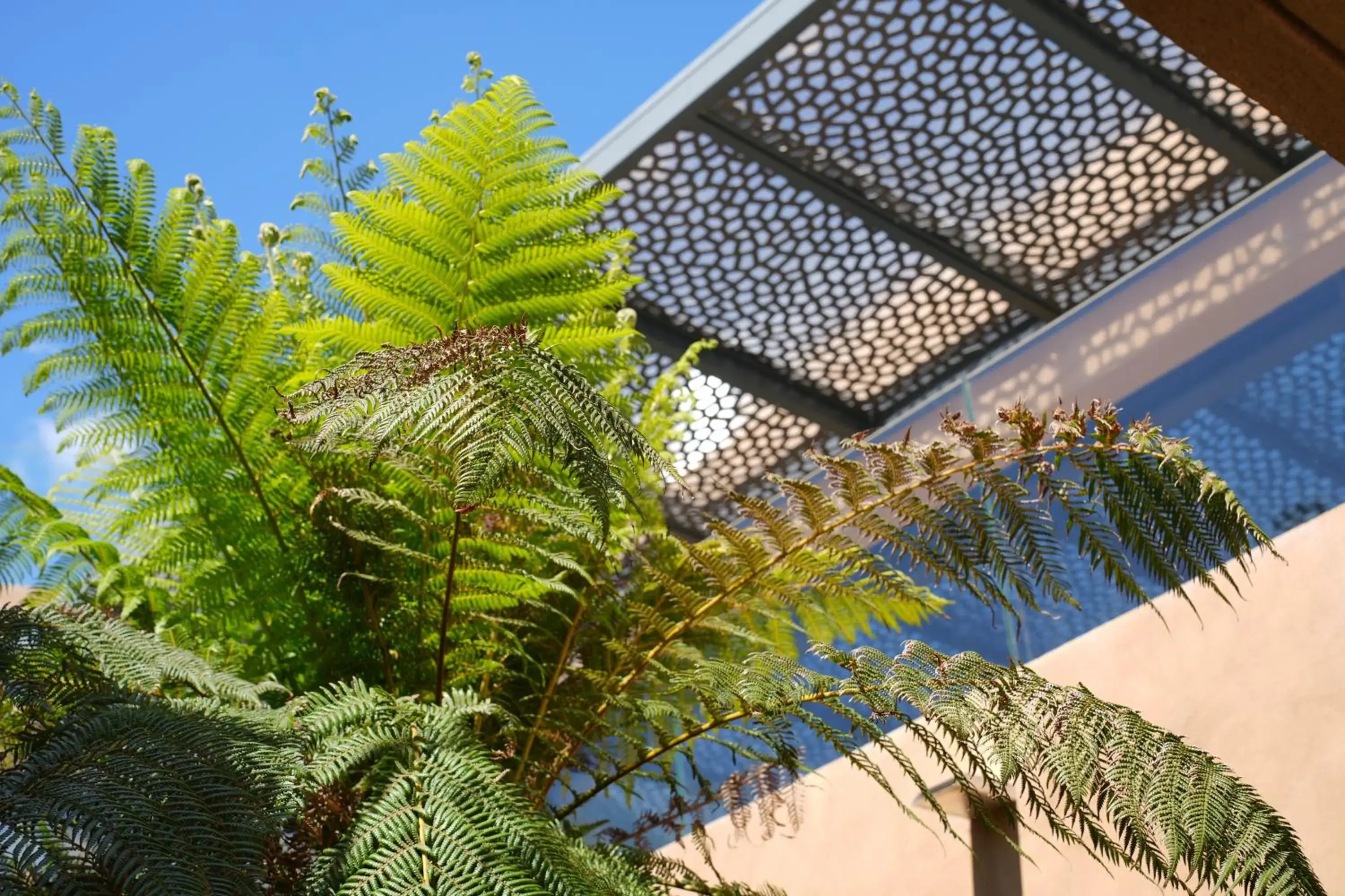 Facade/entrance in Les Regalia Hôtel & Spa